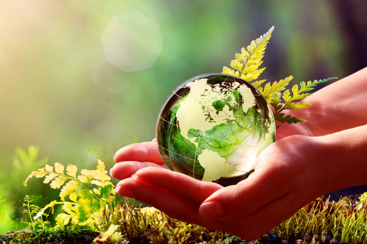 Turismo Sustentável no Interior de São Paulo - O que é preservar a Natureza