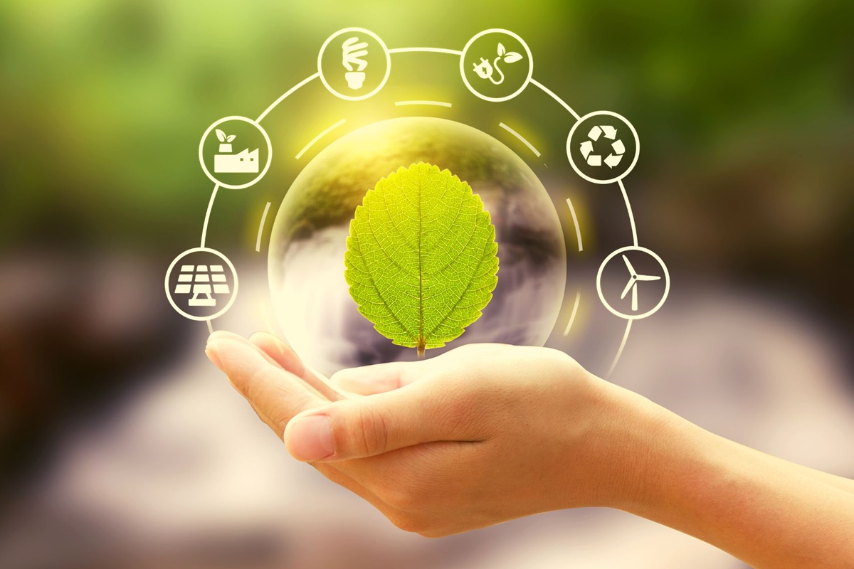 Turismo Sustentável no Interior de São Paulo - O que é preservar a Natureza