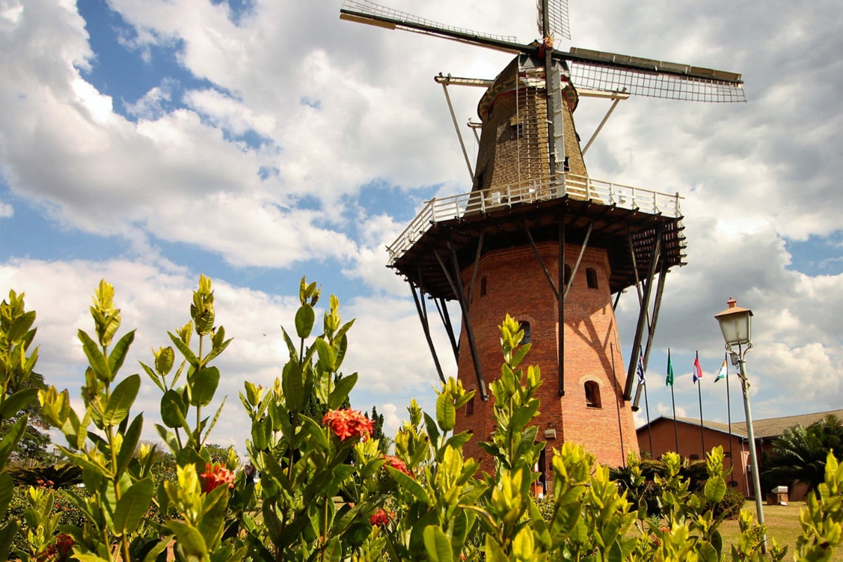 Expoflora Holambra 2023: O Maior Festival das Flores da América Latina