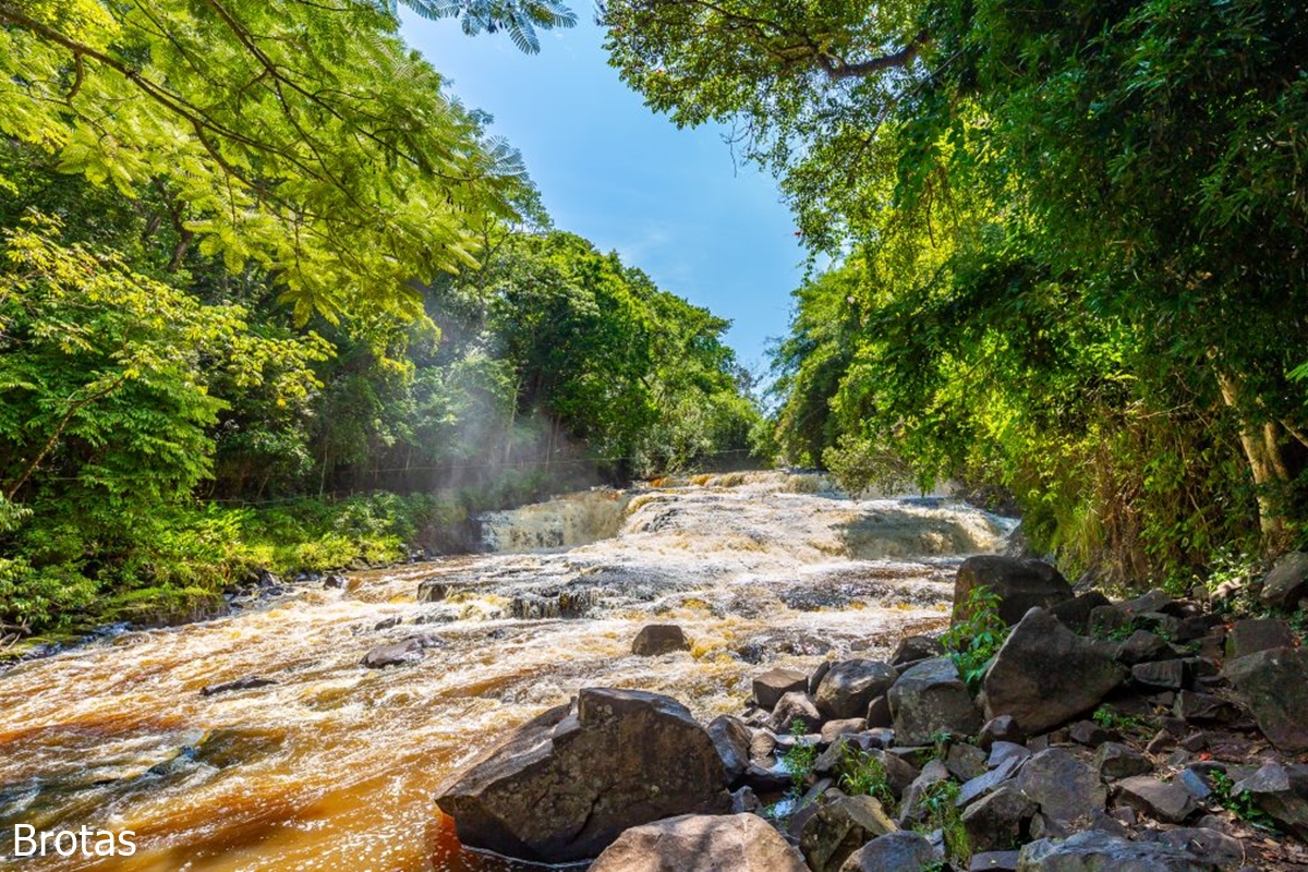 Descubra 8 Destinos para Celebrar o Natal no estado de São Paulo