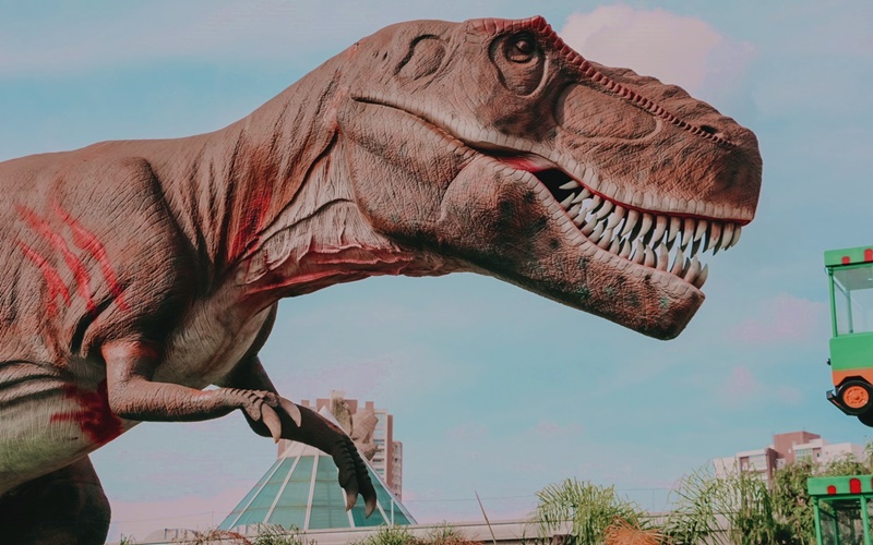 Conheça os melhores parques de Campinas!