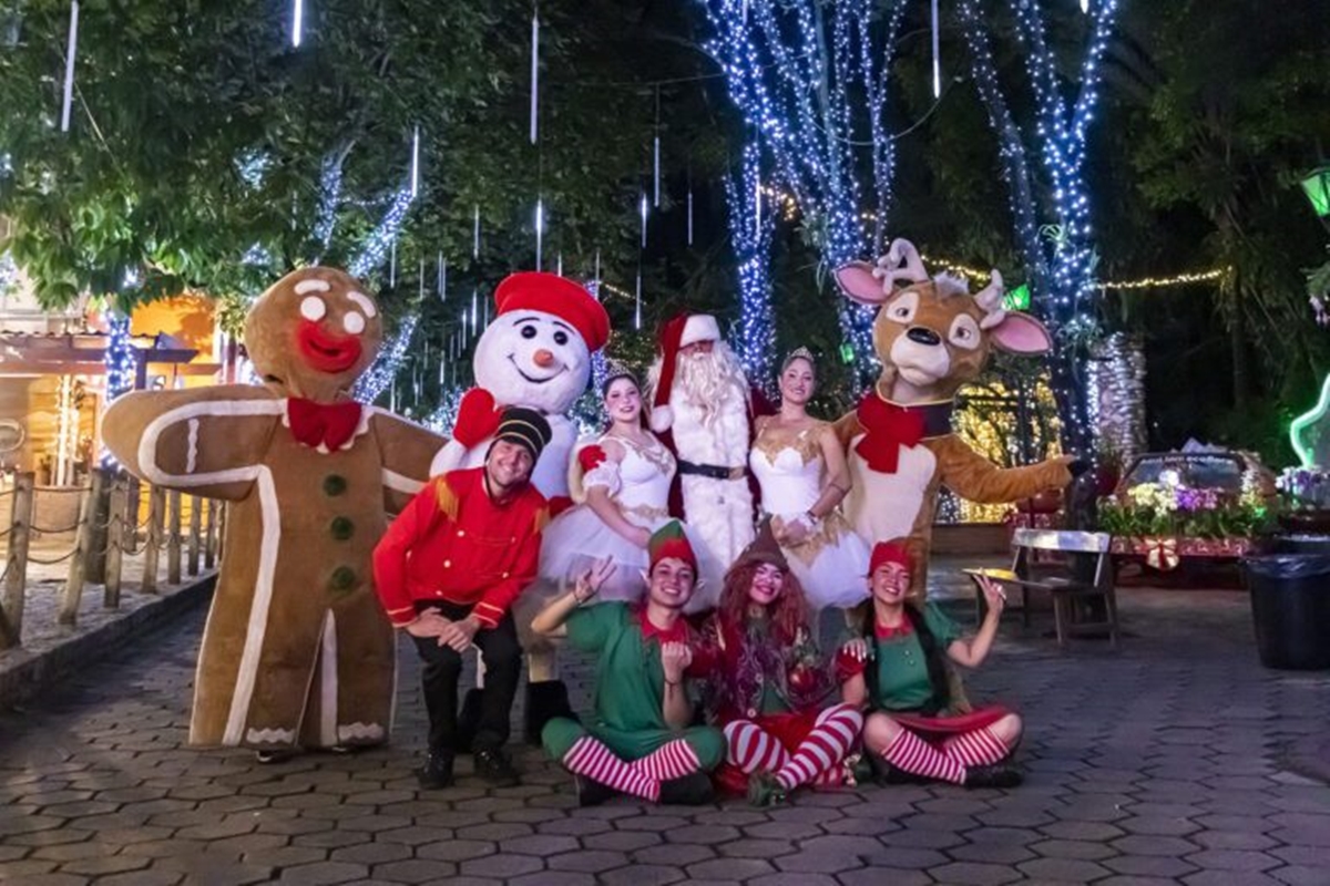 Natal das Luzes, Flores e Sabores: Evento no Parque da Expoflora em Holambra