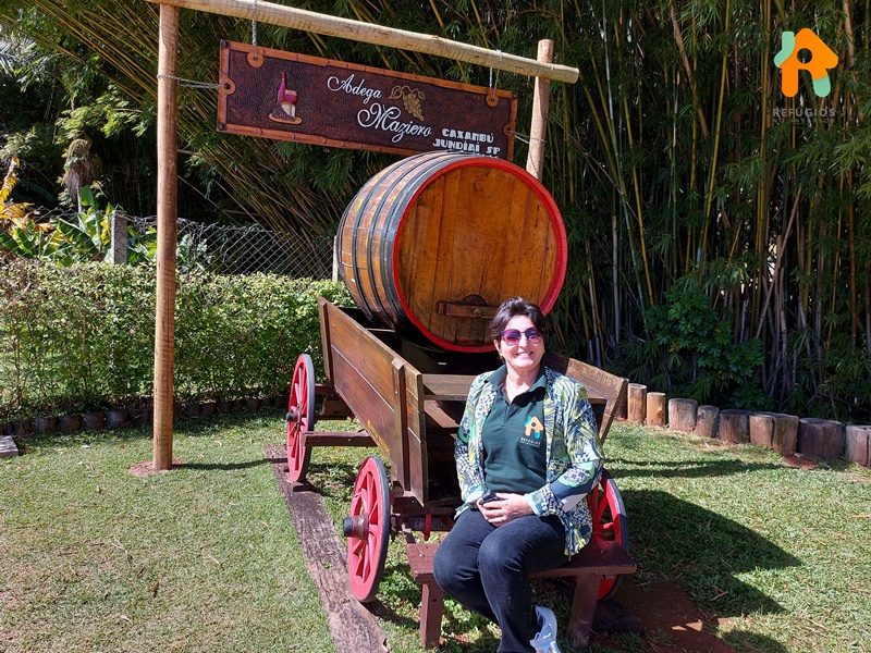 Descubra o sabor do Enoturismo no interior de São Paulo!