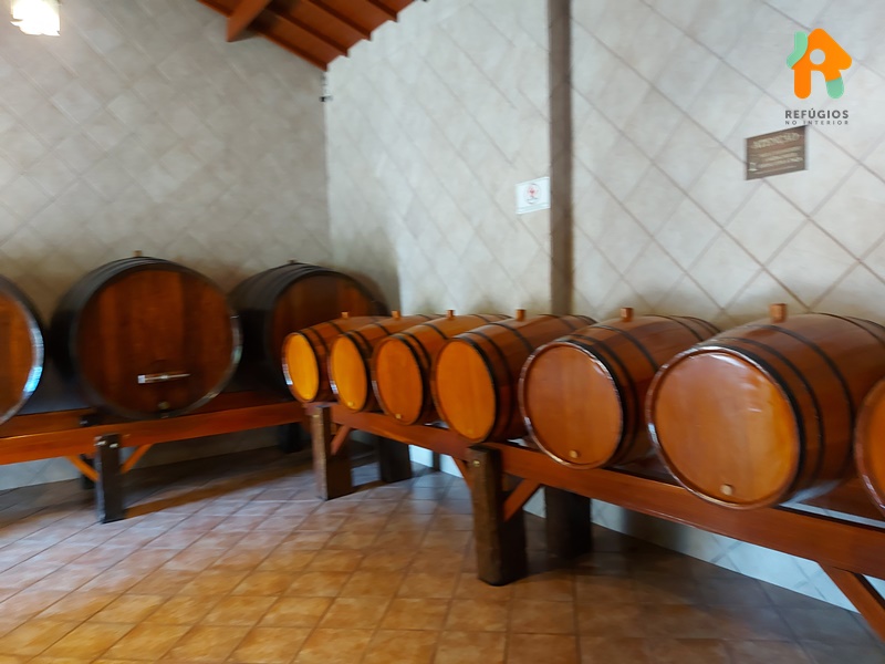 Descubra o sabor do Enoturismo no interior de São Paulo!