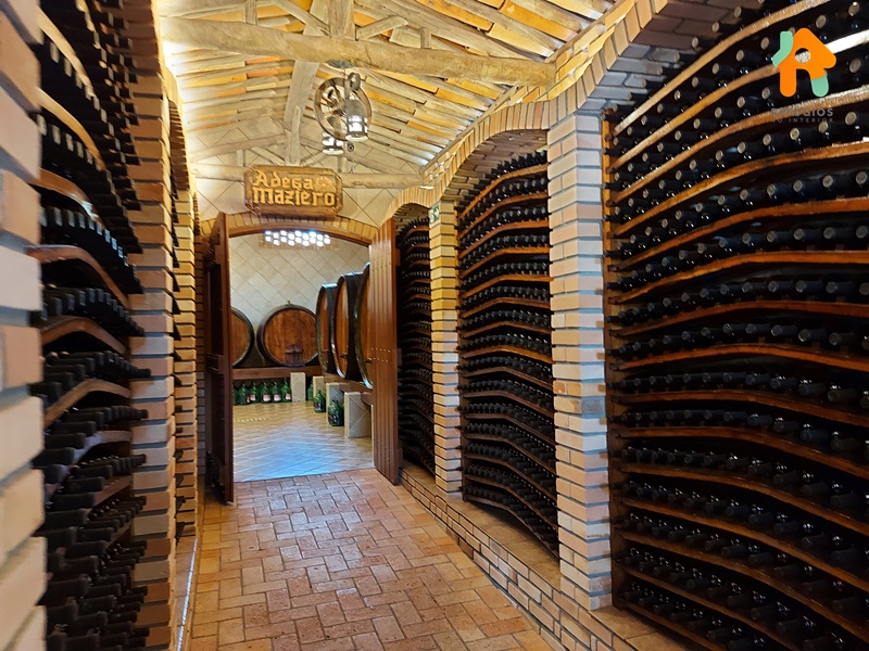 Descubra o sabor do Enoturismo no interior de São Paulo!