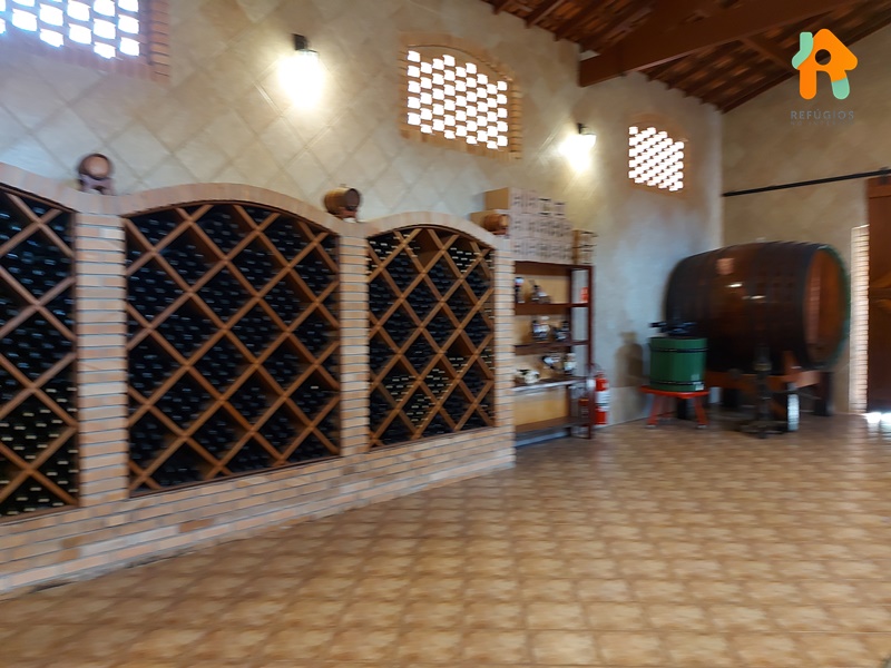 Descubra o sabor do Enoturismo no interior de São Paulo!