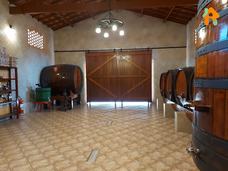 Descubra o sabor do Enoturismo no interior de São Paulo!