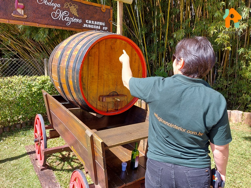 Descubra o sabor do Enoturismo no interior de São Paulo!