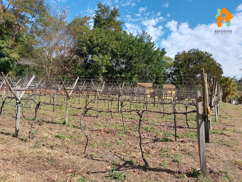 Descubra o sabor do Enoturismo no interior de São Paulo!