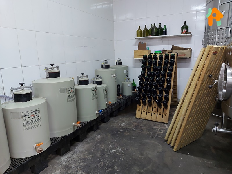 Descubra o sabor do Enoturismo no interior de São Paulo!