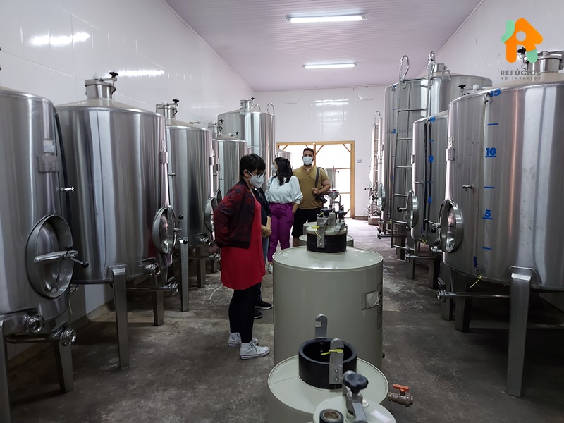 Descubra o sabor do Enoturismo no interior de São Paulo!