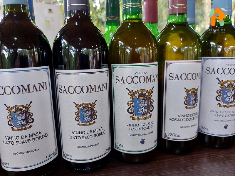 Descubra o sabor do Enoturismo no interior de São Paulo!