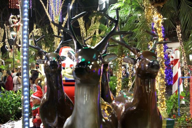 Lugares no interior de SP com tema natalino para ir com a família