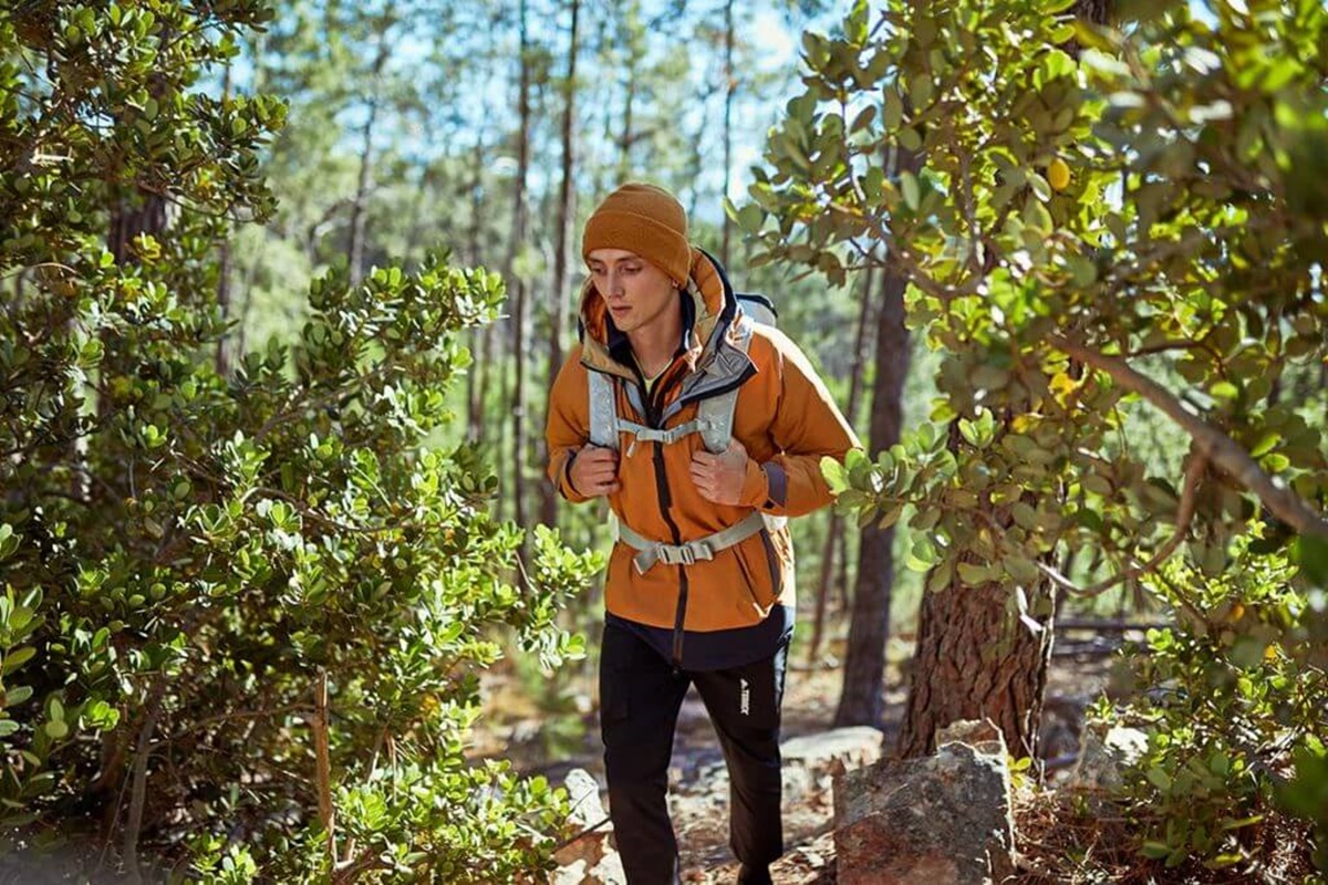 Descubra 9 Trilhas Incríveis para Fazer em SP: Opções na Capital e Arredores!