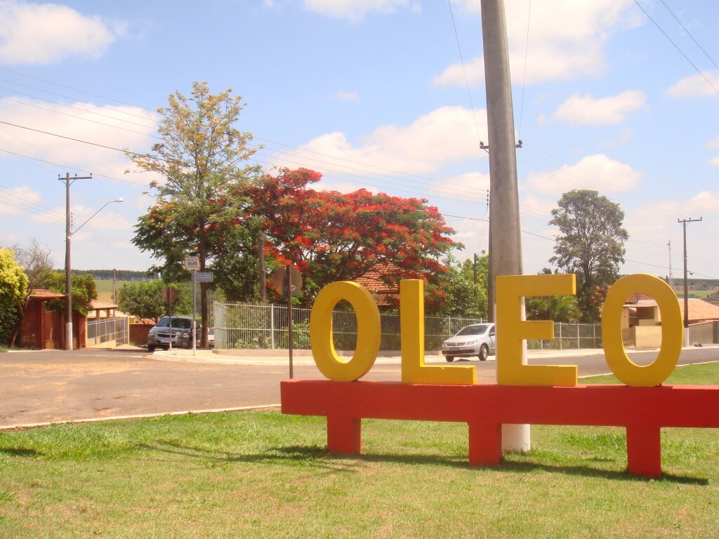 Óleo