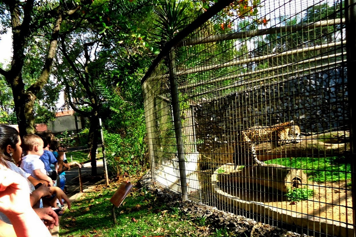 Zoológico Quinzinho de Barros Sorocaba