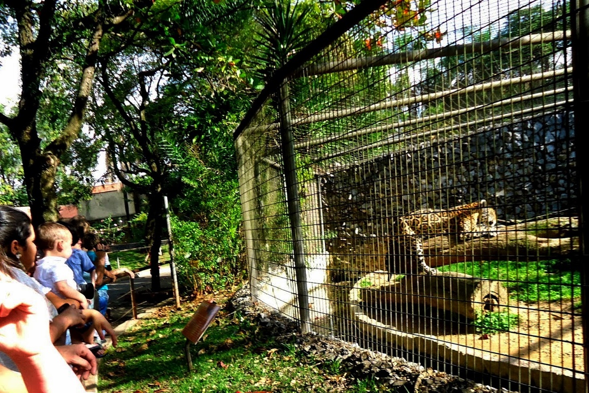 Zoológico Quinzinho de Barros Sorocaba - SP
