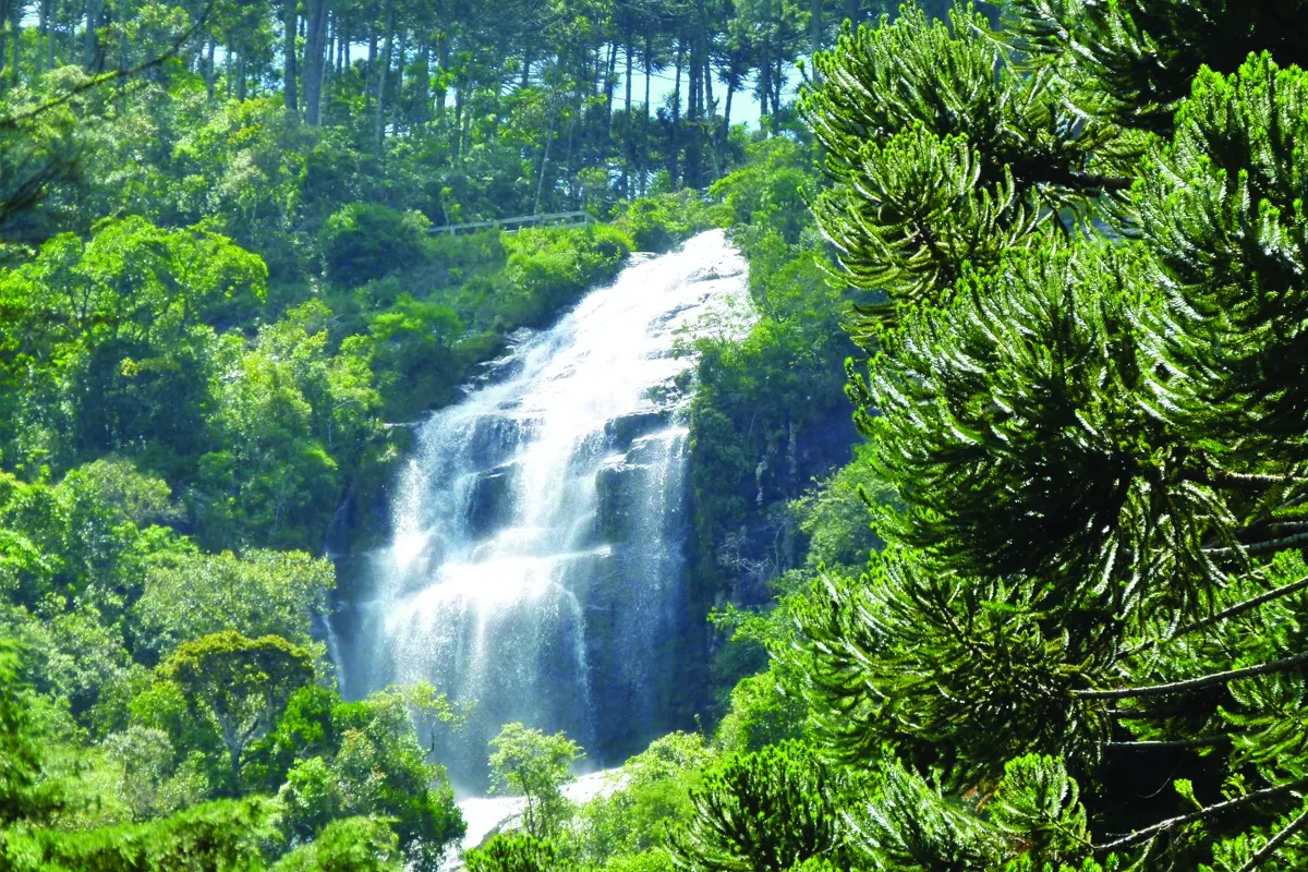 Cachoeira do Toldi - São Bento do Sapucaí