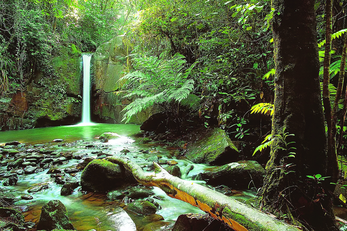 Cachoeira Sem Fim - Iporanga - SP