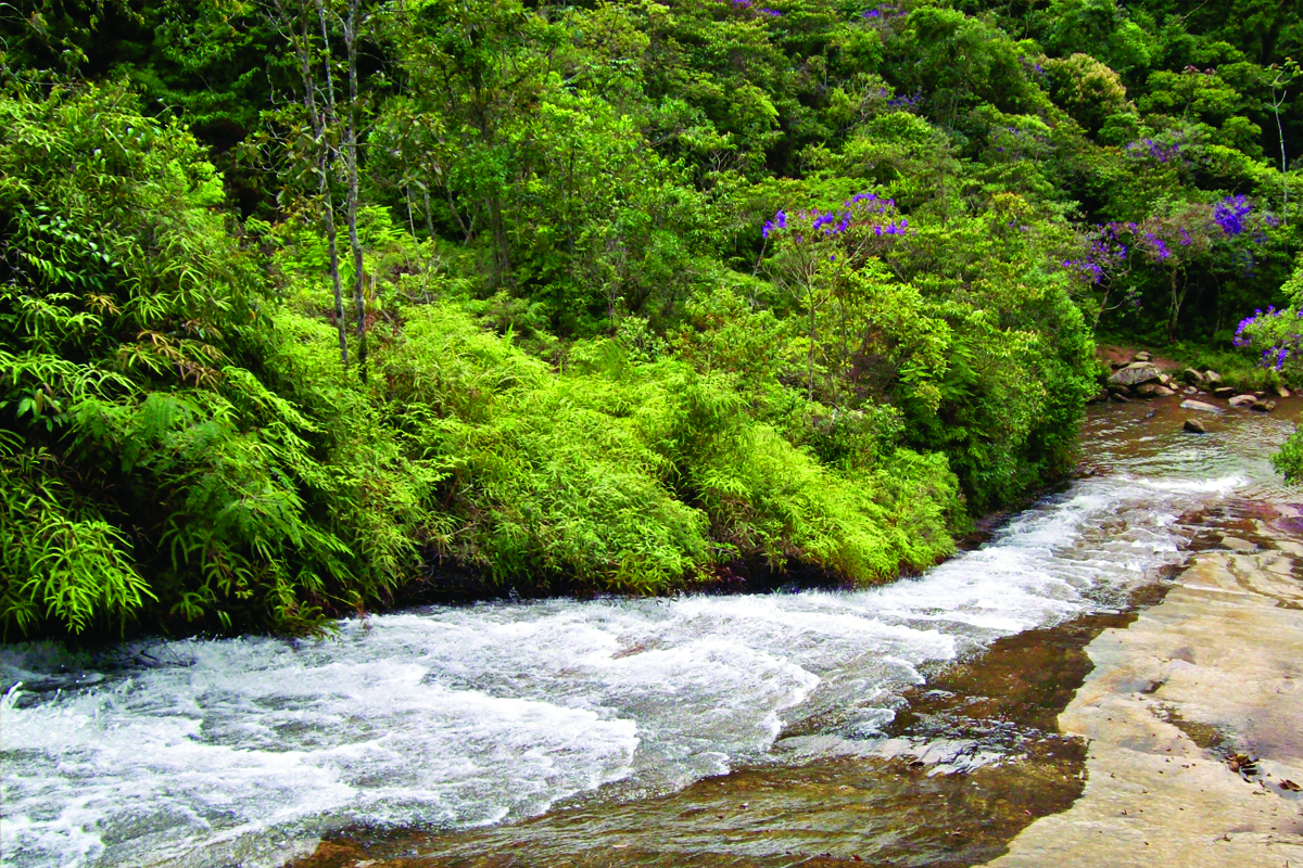 Cachoeira Escorregador - Brotas - SP