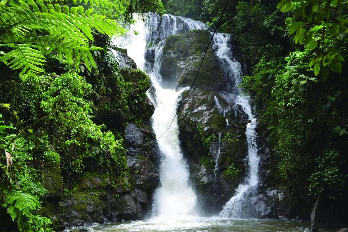 Cachoeira do Chá - Tapiraí