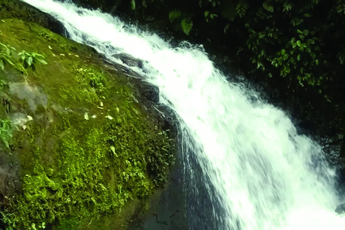 Cachoeira Do Alecrim - Tapiraí