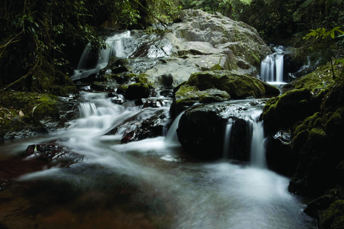 Parque Estadual Carlos Botelho - São Miguel Arcanjo - SP