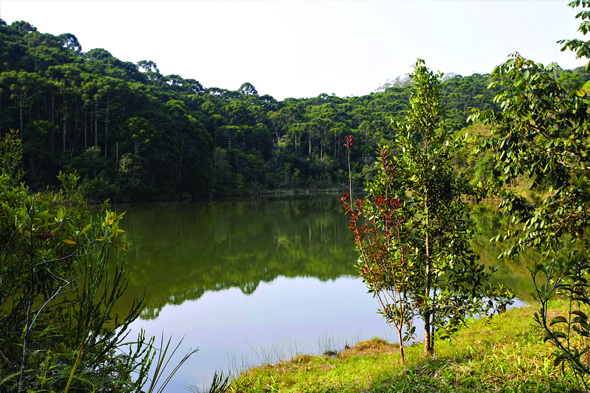 Lagoa do Guapé - São Miguel Arcanjo - SP