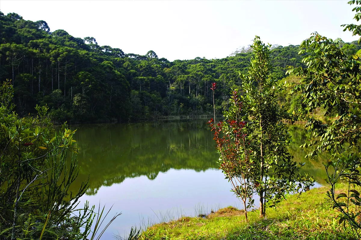 Lagoa do Guapé - São Miguel Arcanjo