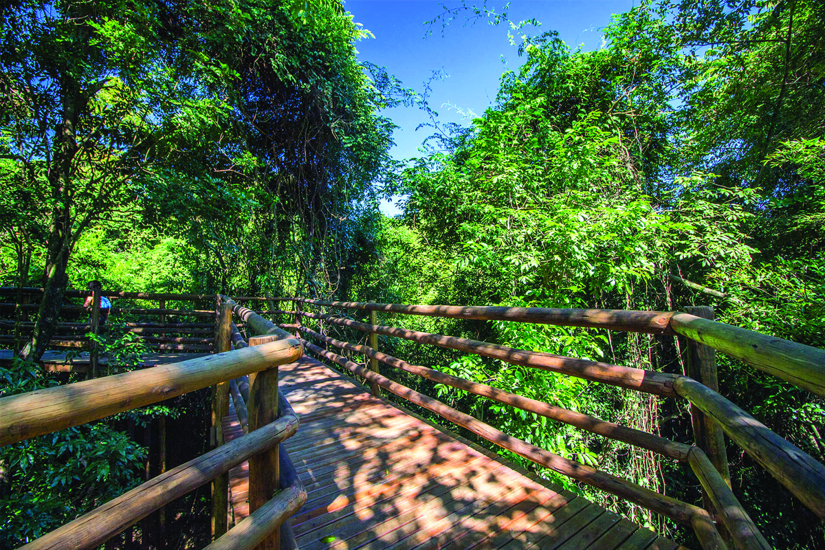 Parque Natural Ilha da Usina - Salto - SP