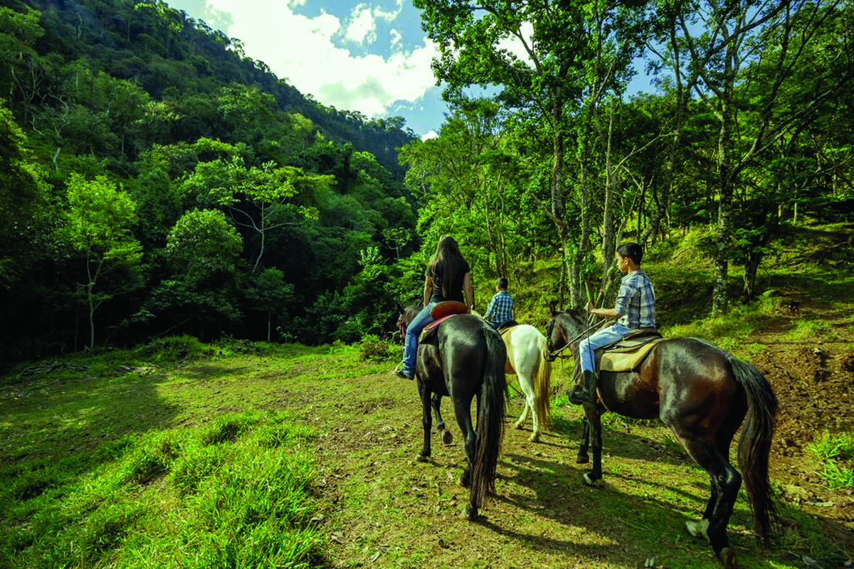 Hotel Fazenda Cachoeira da Furna - São Pedro - SP