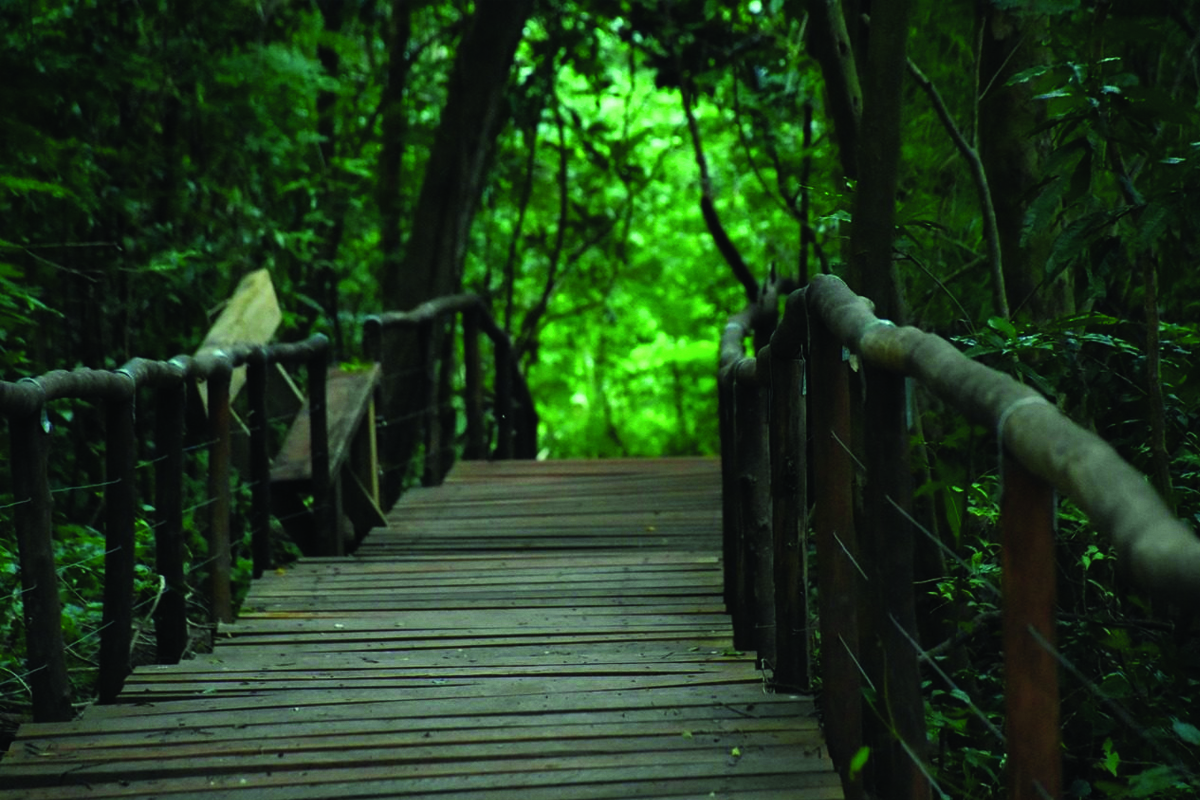 Cachoeira da Marta - Botucatu - SP