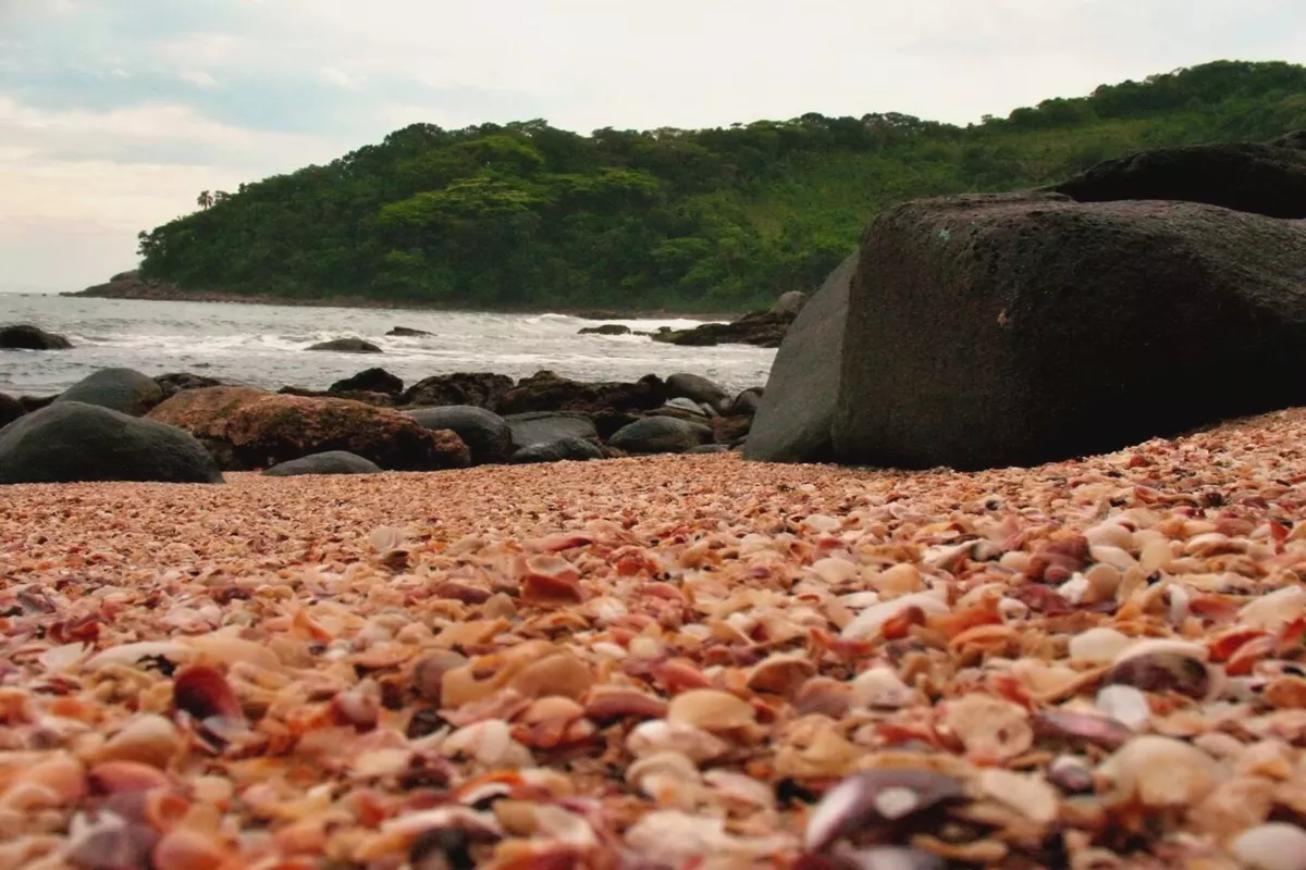 Praia das Conchas em Guarujá