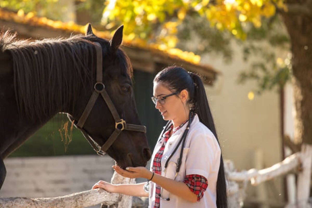 Clínica Veterinária São Francisco Águas de Santa Bárbara - SP