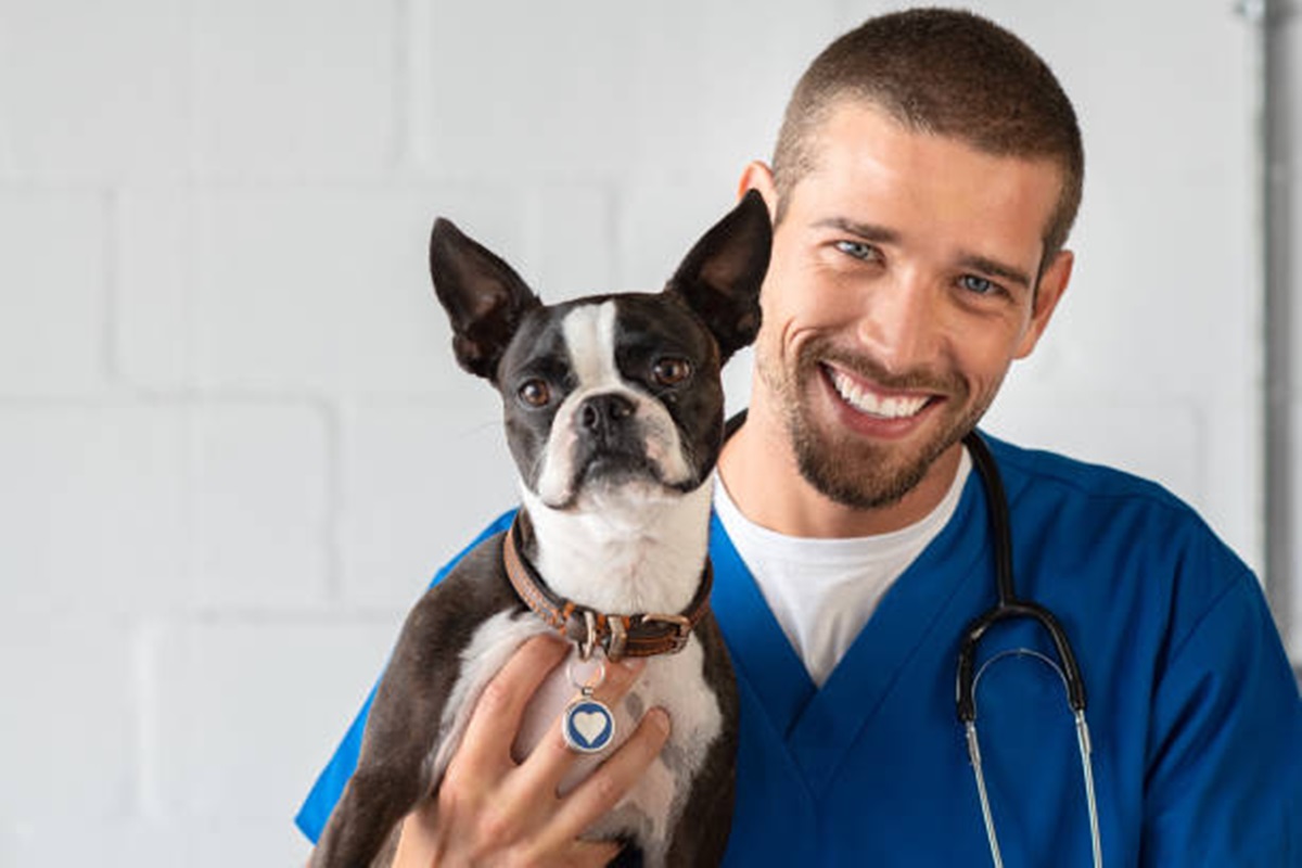 Clínicas Veterinárias em Bertioga - SP