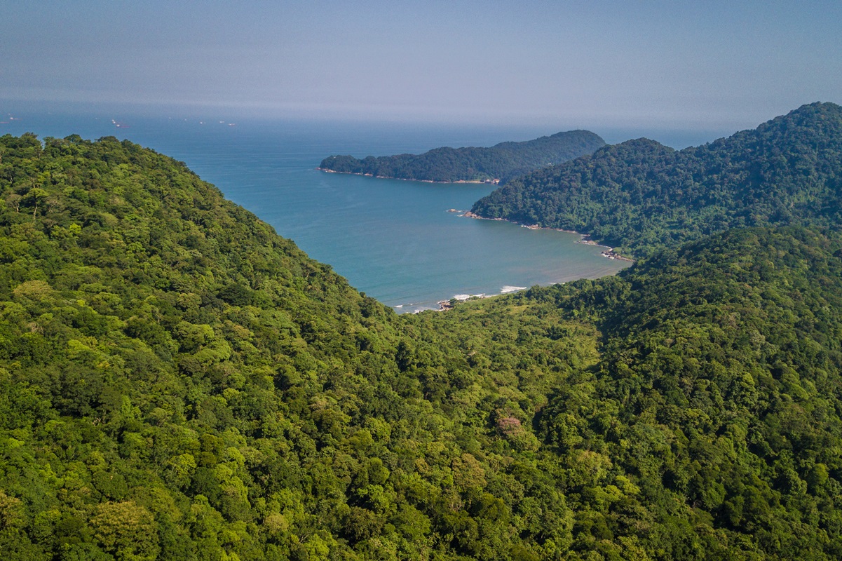 Parque Estadual Xixová-Japuí Praia Grande