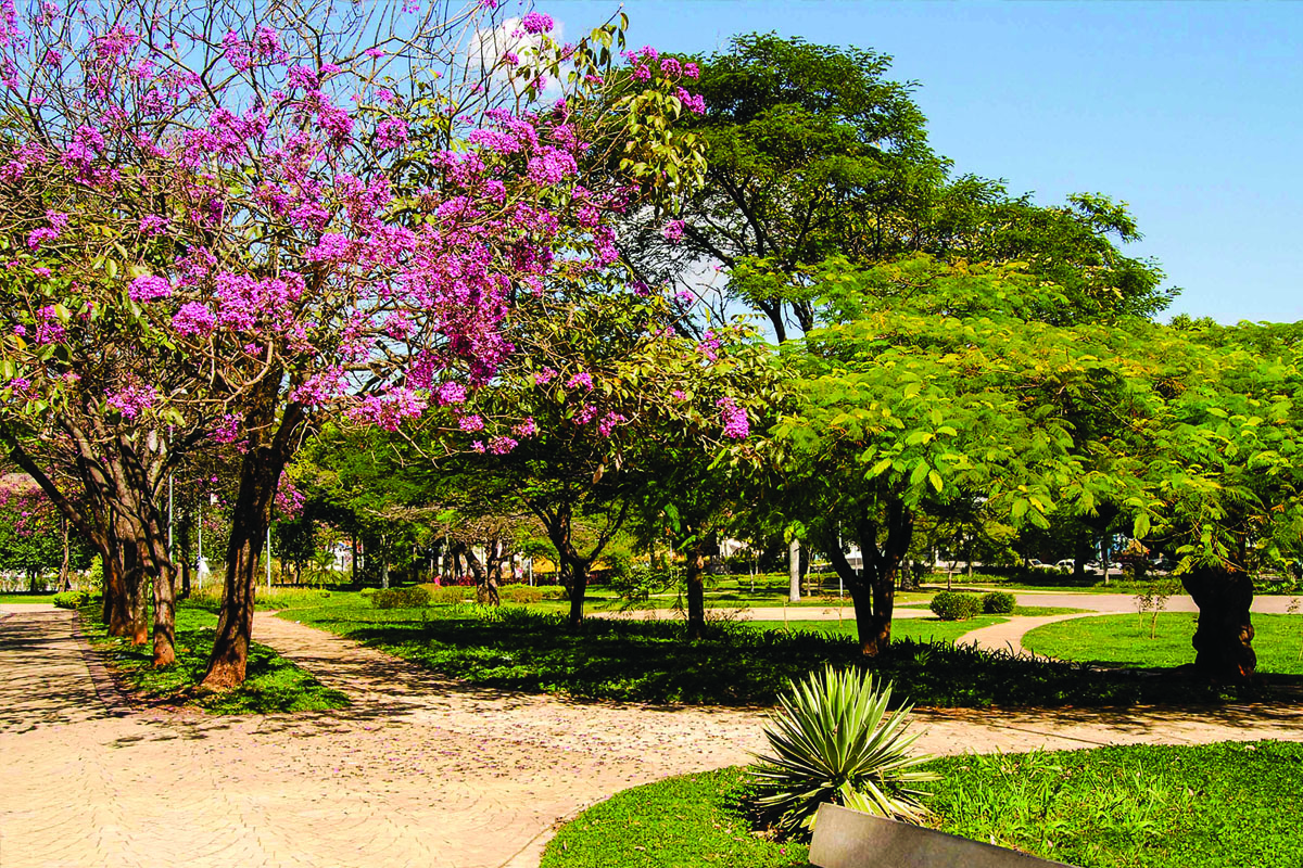Praça Sesquicentenário - Serra Negra