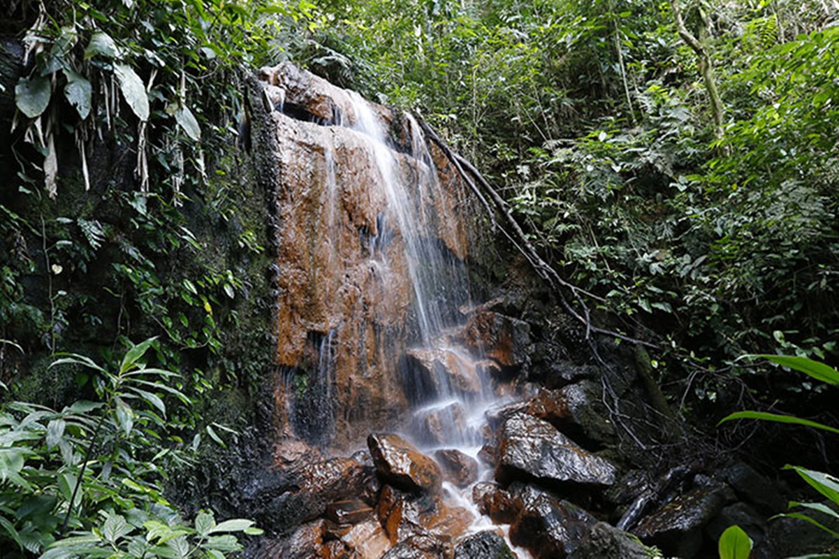 Parque Estadual Itaberaba São Paulo - SP