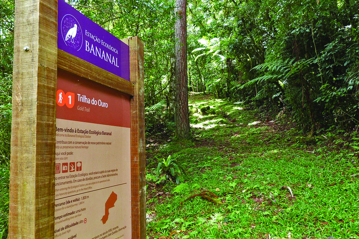 Estação Ecológica de Bananal - SP