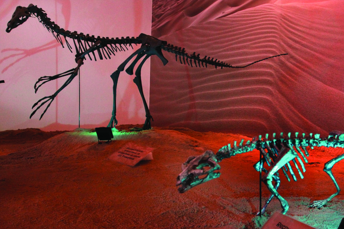 MAPA - Museu de Arqueologia e Paleontologia de Araraquara
