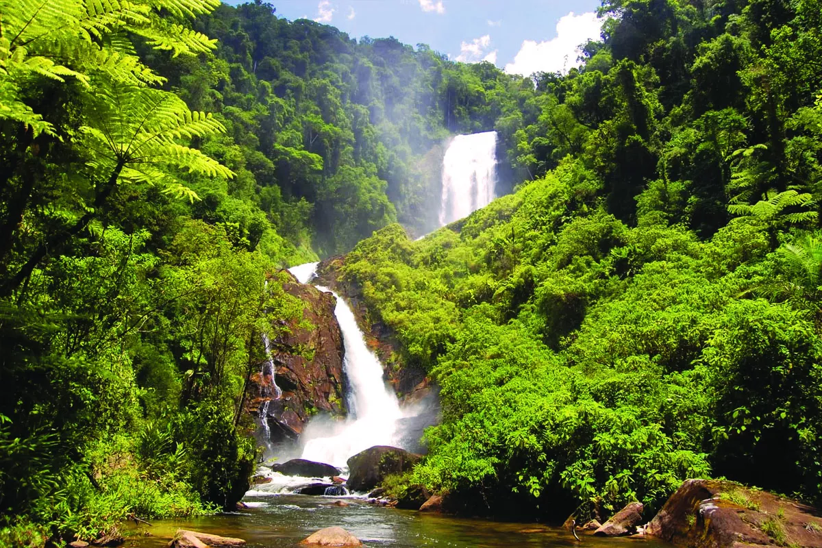 Cachoeira do Veado - Bocaina