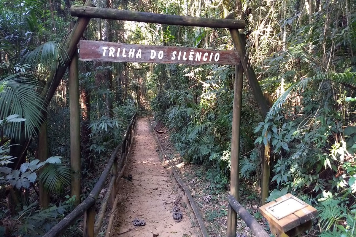 Trilha do Silêncio em São Paulo