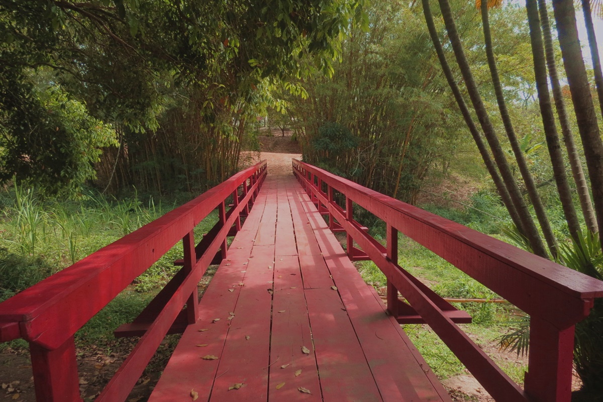 Parque Natural da Água Vermelha em Sorocaba - SP