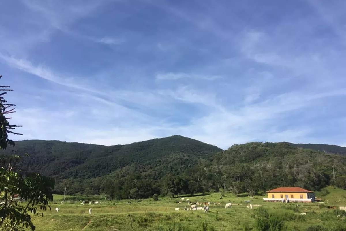 Fazenda Ribeirão Jundiaí