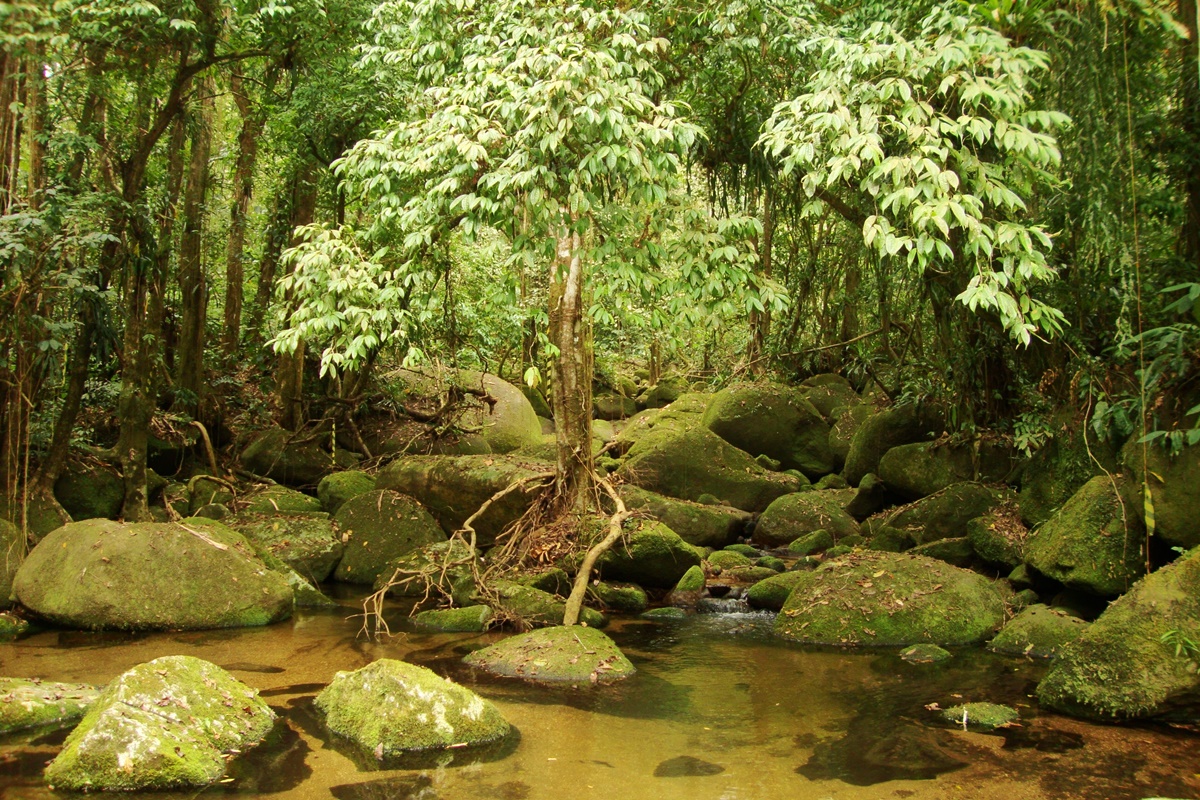 Trilha do Corisco em Ubatuba - SP
