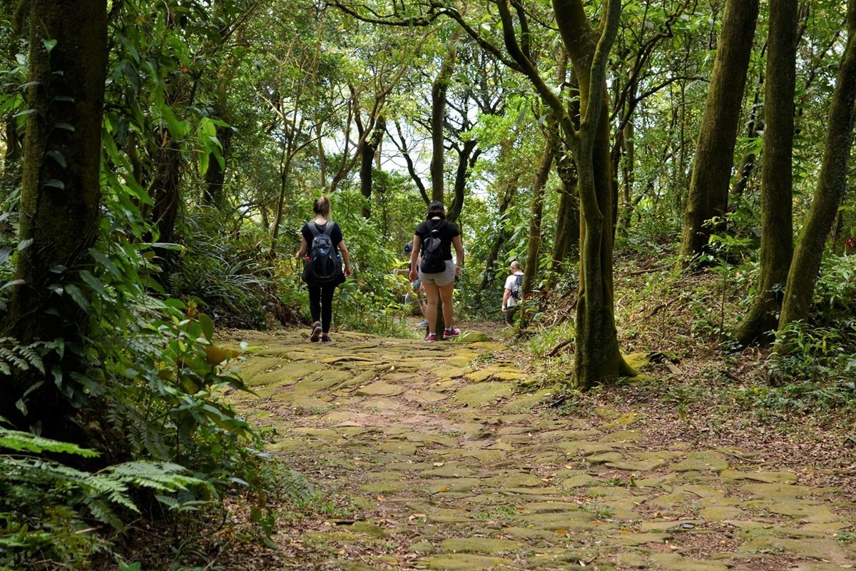 Trilha das Figueiras em São Paulo