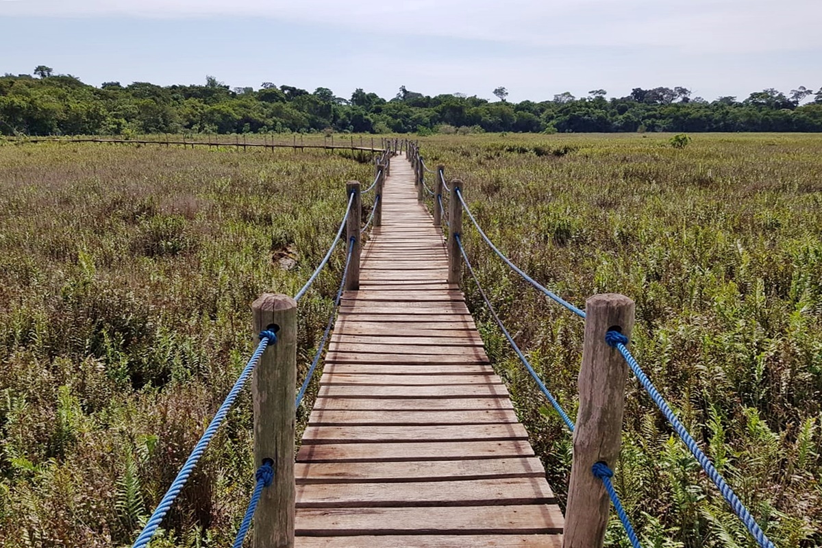 Trilha do Barreiro da Anta em Teodoro Sampaio - SP