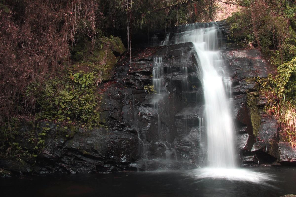 Trilha do Rio Paraibuna em Cunha - SP
