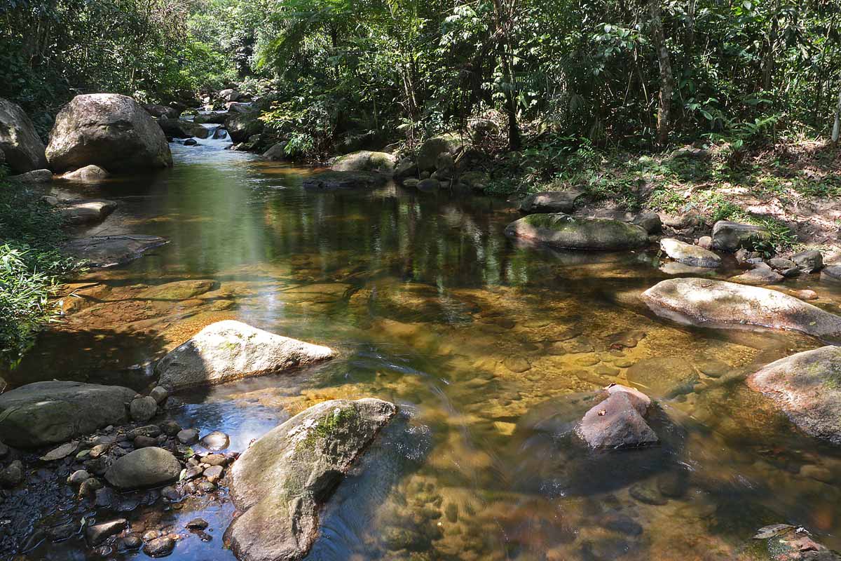 Trilha das Palmeiras em Caraguatatuba - SP