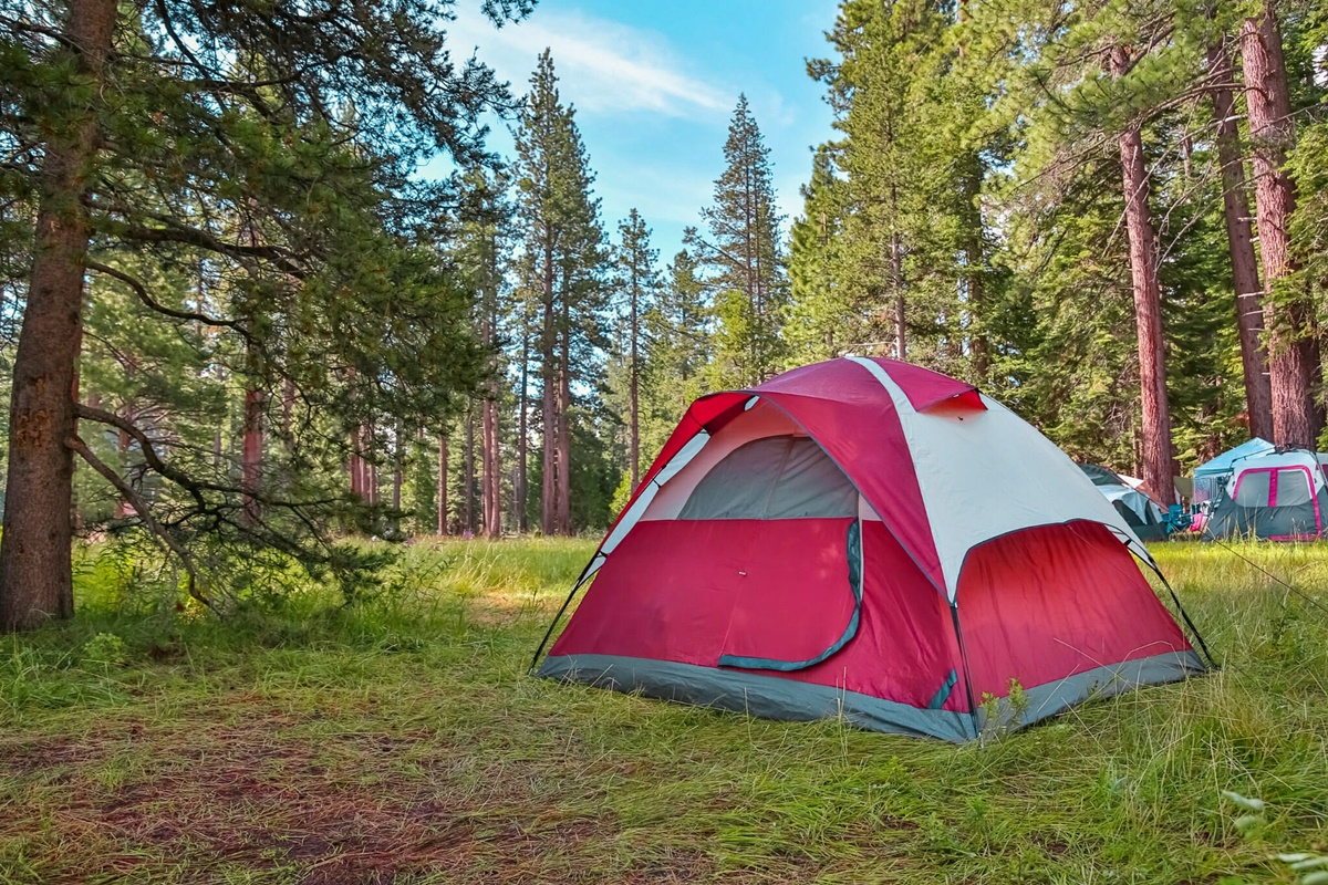 Camping Na Morada da Mata em Santo Antônio do Pinhal - SP